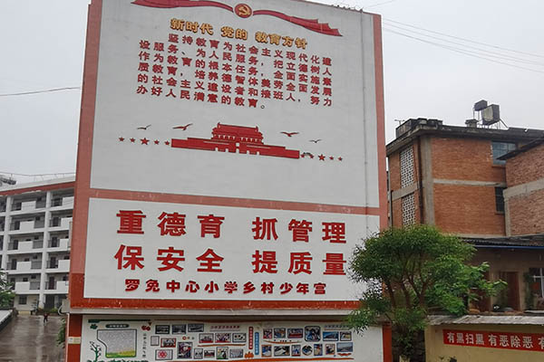 罗免少年宫案例